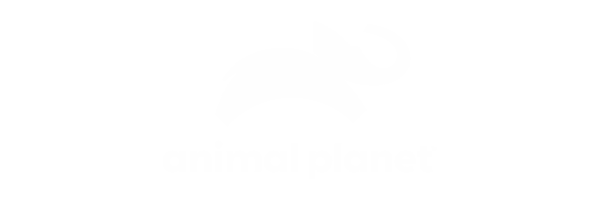Animal Planet | IPR Licensing